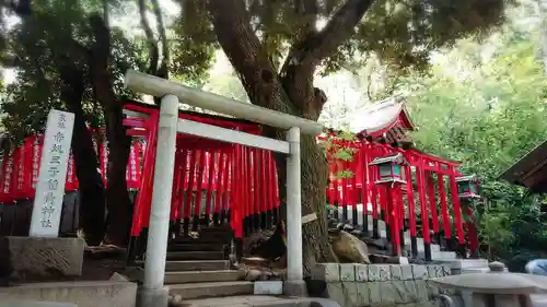 乃木神社の鳥居