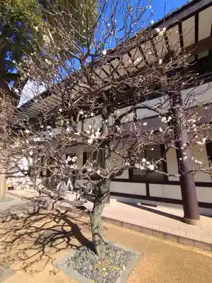 熊野神社(東京都)