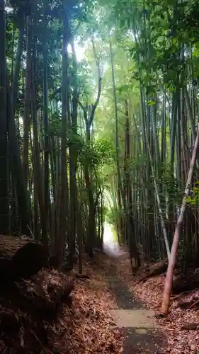 胎蔵寺の景色