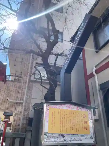 吉原神社(東京都)
