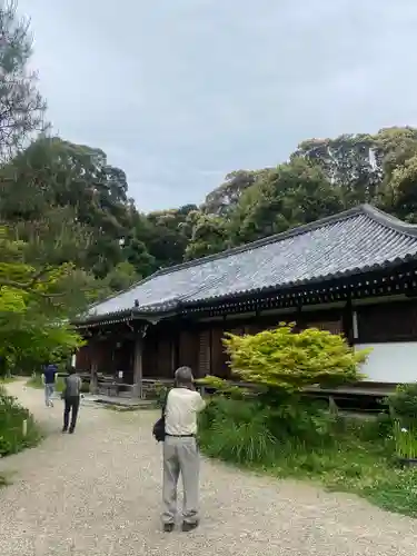 浄瑠璃寺(京都府)