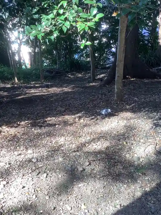 五社稲荷社の自然