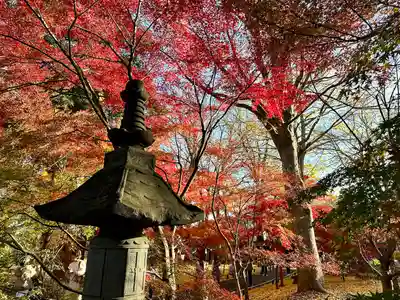 淨眞寺(東京都)