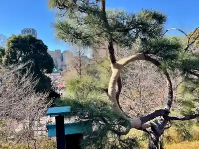 清水観音堂(東京都)