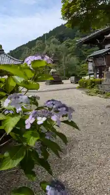 善峯寺(京都府)