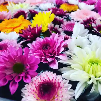 鹿島台神社の手水舎