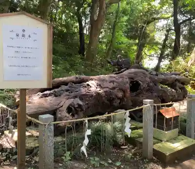 泉神社(茨城県)