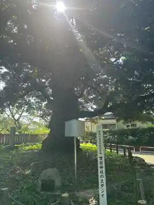 一之宮貫前神社(群馬県)