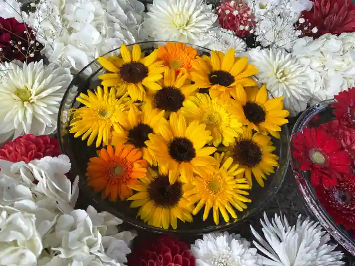 新川皇大神社の手水舎