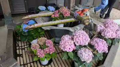 長谷寺(奈良県)