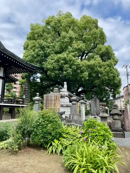 養福寺(東京都)