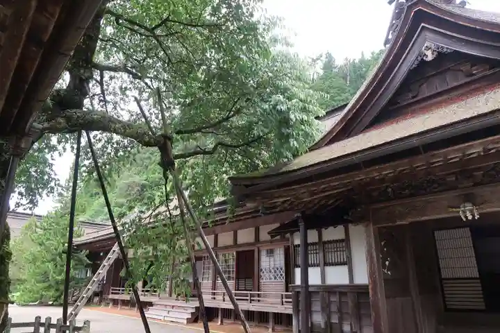 清浄心院(和歌山県)