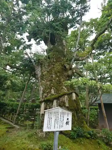 智恩寺(京都府)