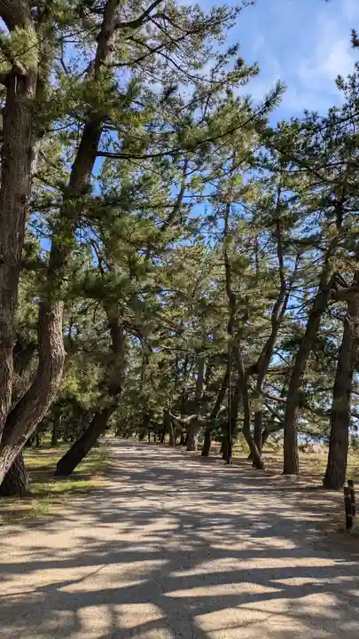 天橋立神社(京都府)