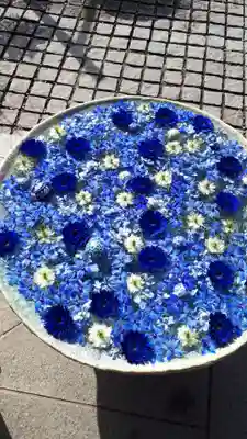 行田八幡神社の手水舎