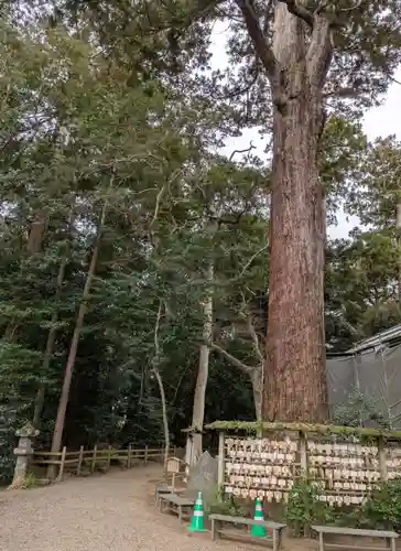 鹿島神宮(茨城県)