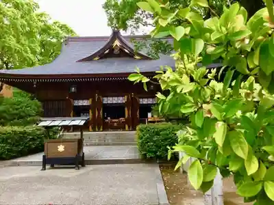 若宮八幡社の本殿・本堂