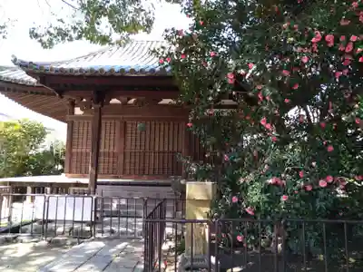 伝香寺(奈良県)