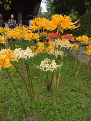 横浜　西方寺(神奈川県)
