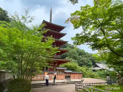 長谷寺(奈良県)