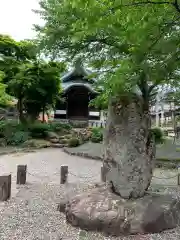 西念寺の建物その他