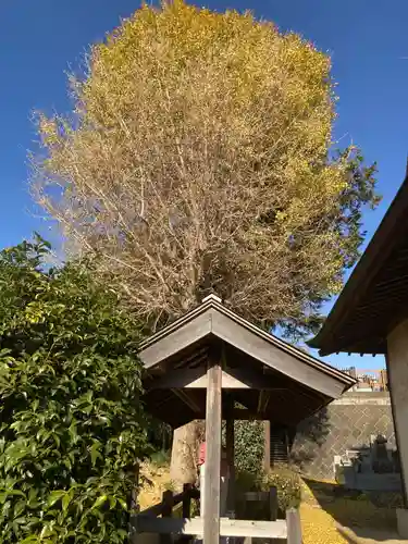 隆安寺(神奈川県)