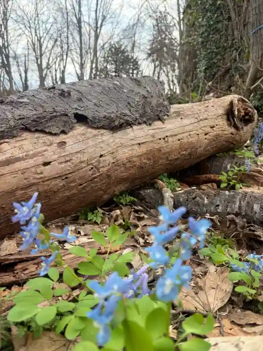 浦臼神社の{uncategorized: "未分類", other: "その他", undefined: "問題あり", building: "その他建物", grave: "お墓", sacred_gate: "鳥居", guardian: "狛犬", statue: "像", buddha: "仏像", history: "歴史", nature: "自然", garden: "庭園", animal: "動物", pagoda: "塔", temizu: "手水舎", mountain_gate: "山門・神門", sanctuary: "本殿・本堂", subordinate: "末社・摂社", art: "芸術", scenery: "景色", jizo: "地蔵", ema: "絵馬", goshuin: "御朱印", omikuji: "おみくじ", items: "授与品その他", amulet: "お守り", goshuincho: "御朱印帳", eats: "食事", festival: "お祭り", votive_dance: "神楽", shichigosan: "七五三参", wedding: "結婚式", experience: "体験その他", initially: "初詣", around: "周辺", anti_infection: "感染症対策"}