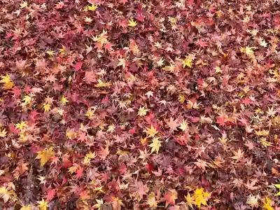 禅林寺(永観堂)(京都府)