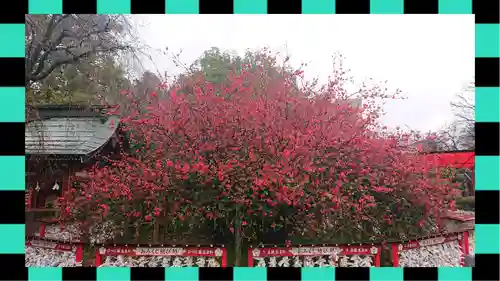 冠稲荷神社(群馬県)