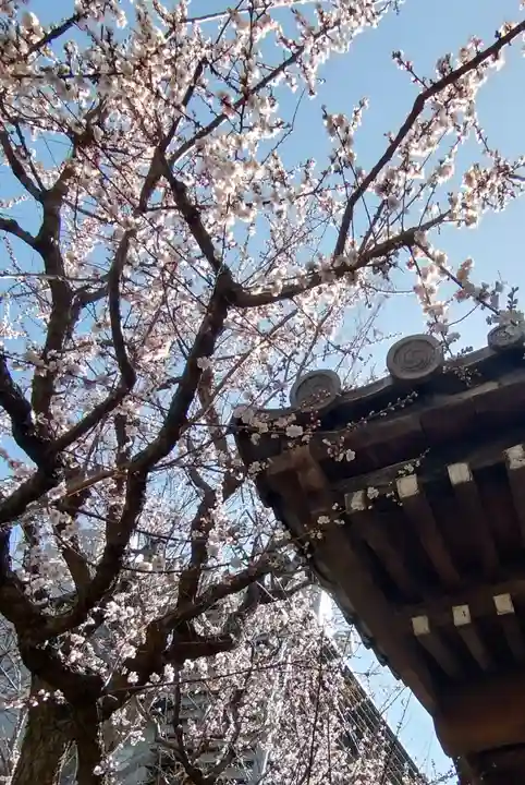 新井薬師(梅照院)(東京都)