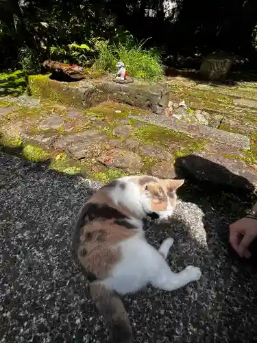 かっぱの寺 栖足寺(静岡県)