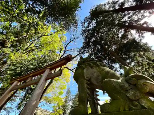 武水別神社の狛犬