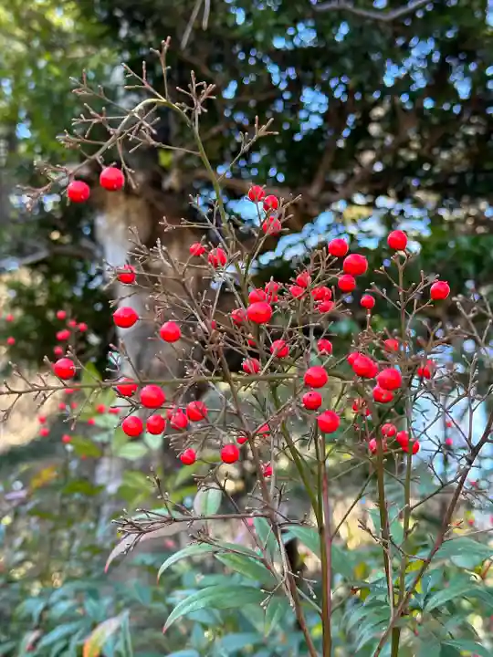 布多天神社の自然