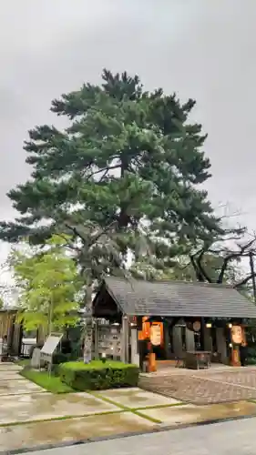 前橋東照宮(群馬県)