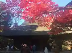 平林寺の山門