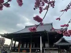 興正寺(京都府)