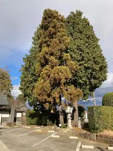 金剛頂寺(神奈川県)