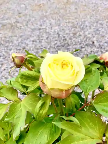 滋賀県護国神社の自然