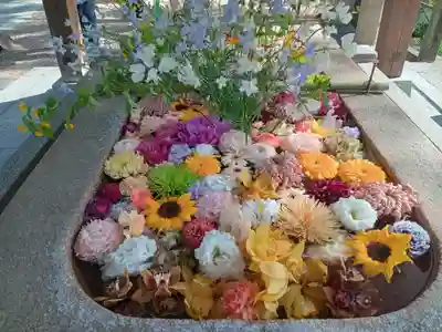 住吉大社(大阪府)