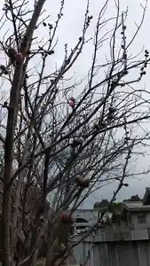 比佐豆知神社(三重県)(2023年02月18日(土) 14時28分39秒投稿)