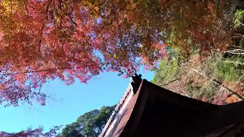 出雲大神宮のその他建物