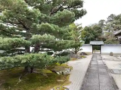 大光明寺(京都府)