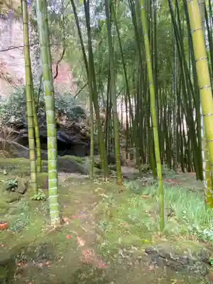 報国寺(神奈川県)