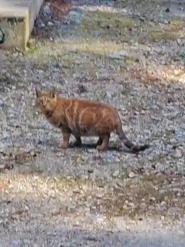 宇都宮神社（下彦間町）(栃木県)