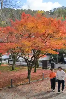 南禅寺(京都府)