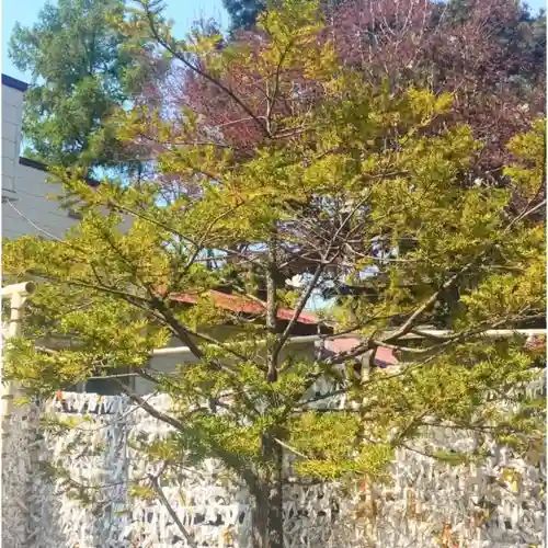 彌彦神社　(伊夜日子神社)の自然