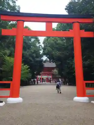 賀茂御祖神社(下鴨神社)の鳥居