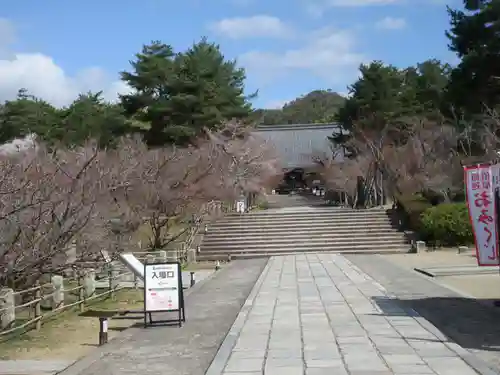 仁和寺(京都府)