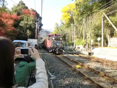 野宮神社(京都府)