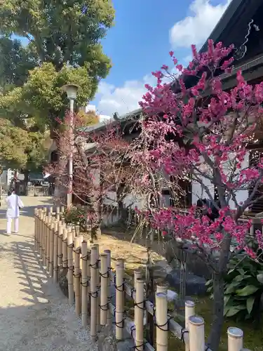 大阪天満宮の庭園